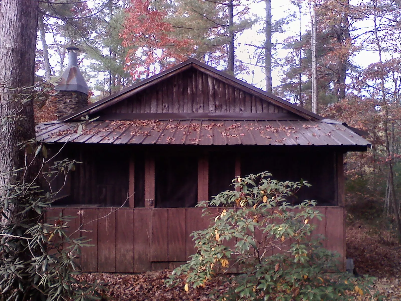 Metal roof over the screened porch of a rustic cabin in Interlaken