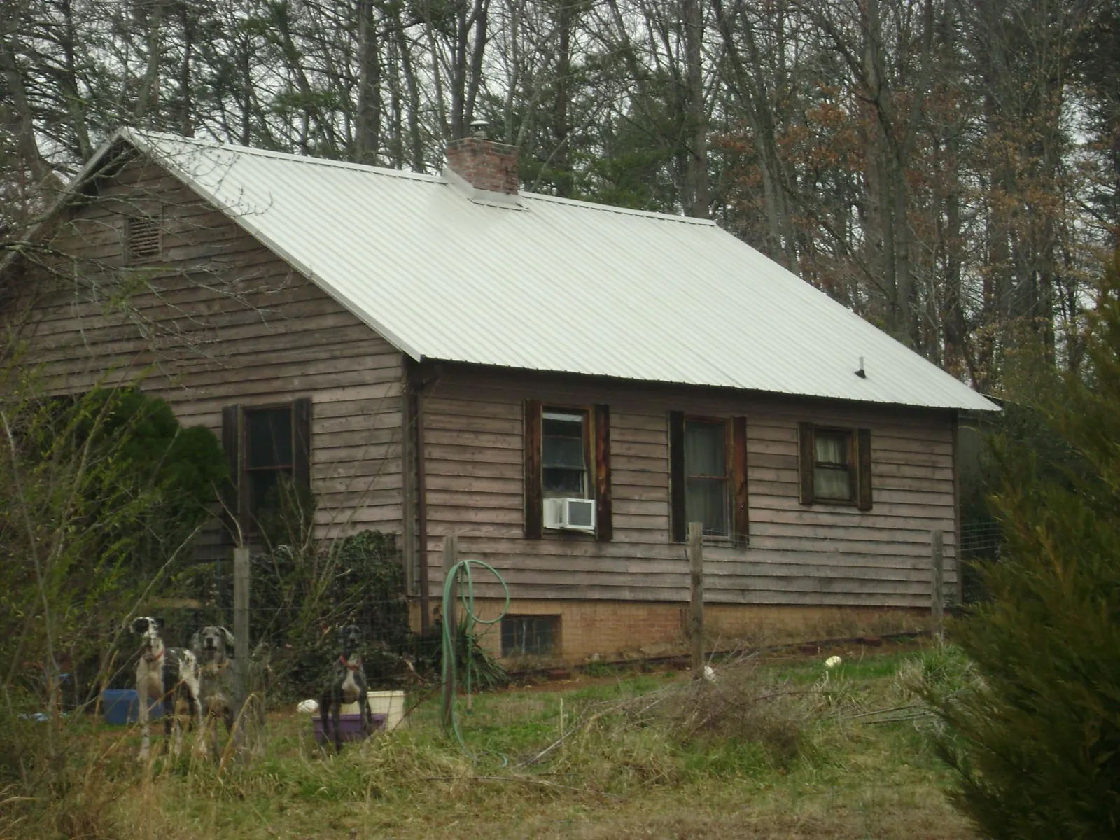 White metal roof on an old wood sided farmhouse, from a Asphalt Shingle Roof Repair job in Interlaken